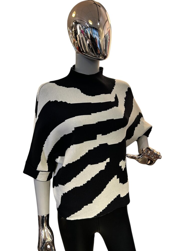 Paris Viscose Zebra Sweater-3050