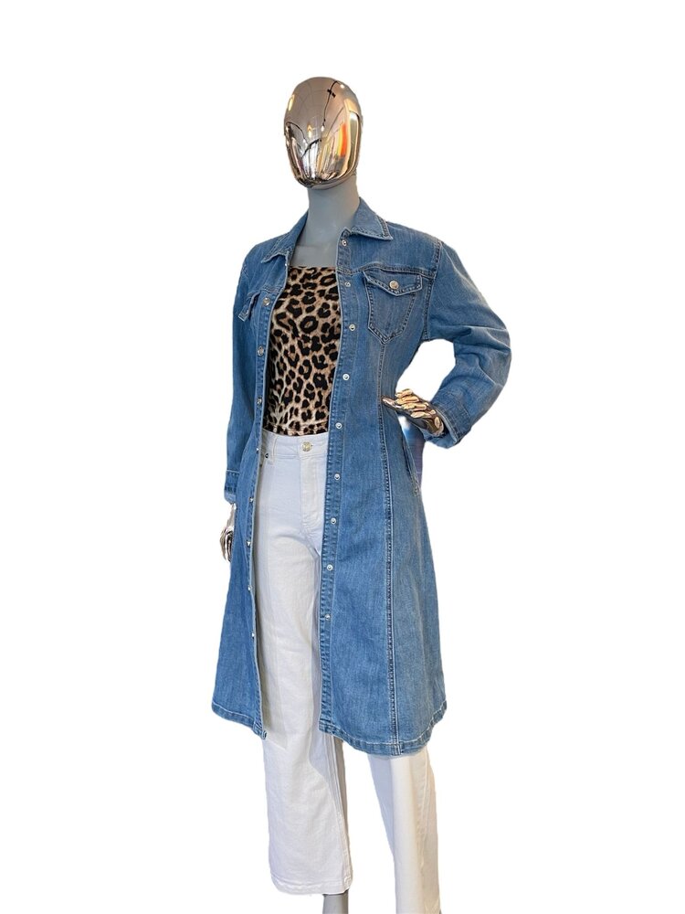 Paris Jeans Dress - V8211