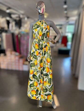 Paris Lemonade Dress
