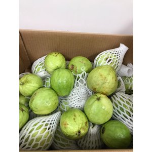 Guava