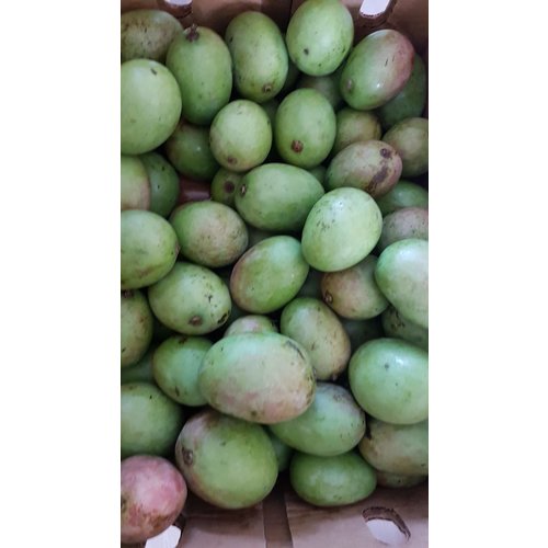 Green mango sour - box  7 kg.