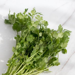 Coriander