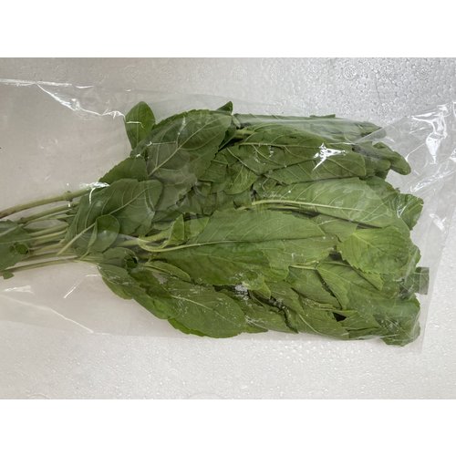 Krapao Leaf / holy basil leaves