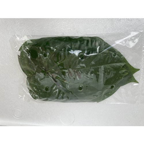 Betel Leaf ( 10x100gram) - 1kg.