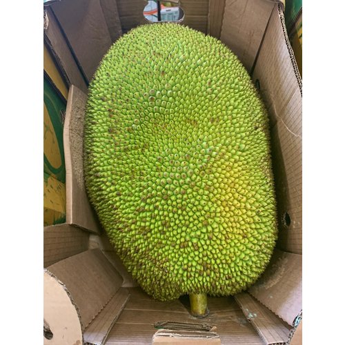 Jackfruit WHOLE - by kg