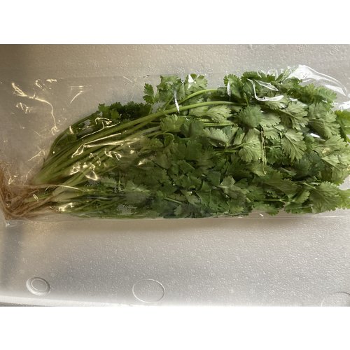 Coriander Thai ( 10x100gram) - 1kg.