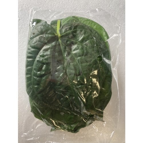 Betel Leaf ( 10x100gram) - 1kg.