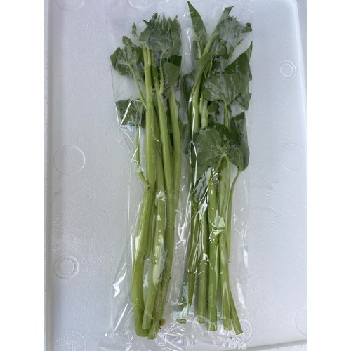 Morning glory Thai ( 5x200gram) - 1kg.