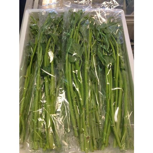 Morning glory Thai ( 5x200gram) - 1kg.