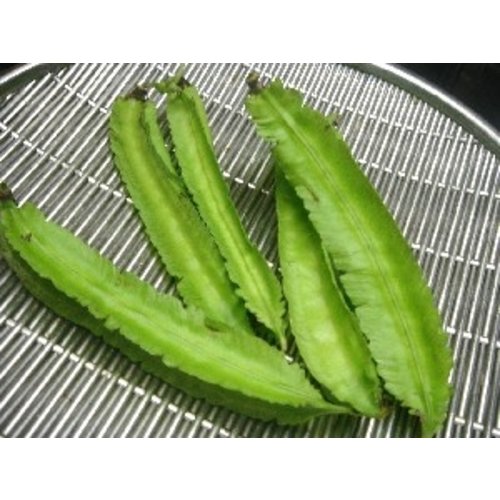 Winged bean Thai ( 10x 100gram) - 1kg.