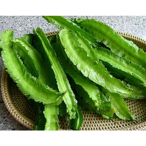 Winged bean Thai ( 10x 100gram) - 1kg.