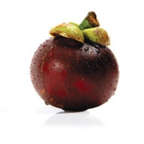 mangosteen