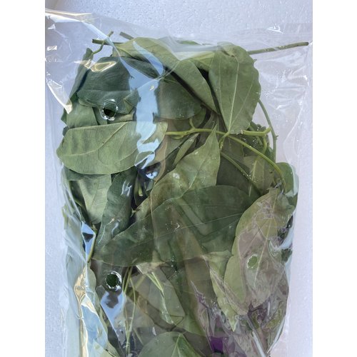 yanang leaf ( 10x100gr.) - 1kg