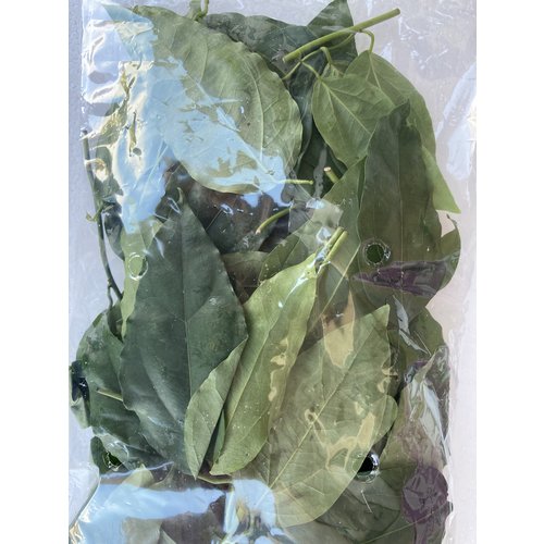 yanang leaf ( 10x100gr.) - 1kg