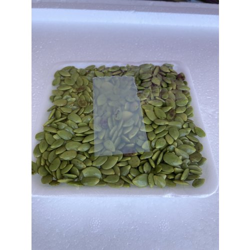 katin seed ( 10x 100gram) - 1kg.