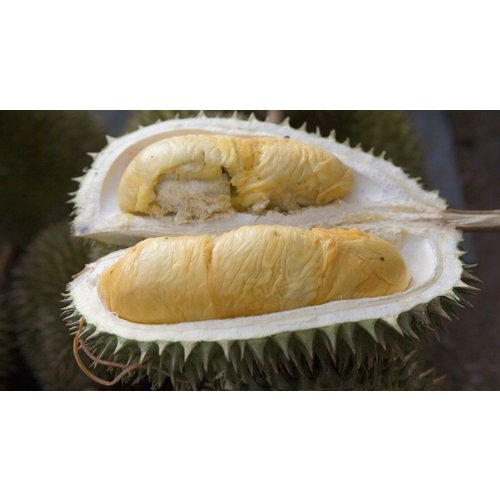 Durian peeled