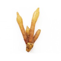 kra chai / Tumicuni/ galangel