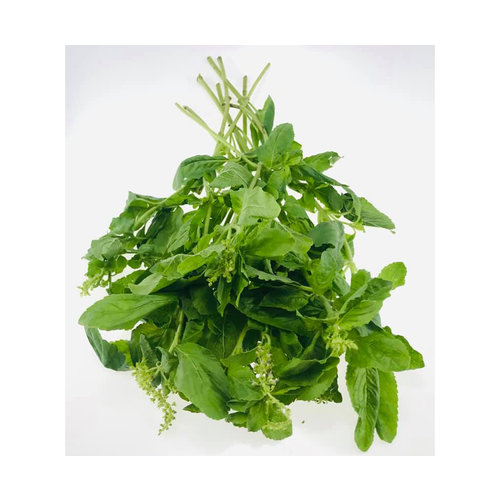 Horapa Basil