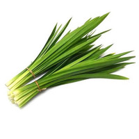 Pandang blad ( 8x 250gram)