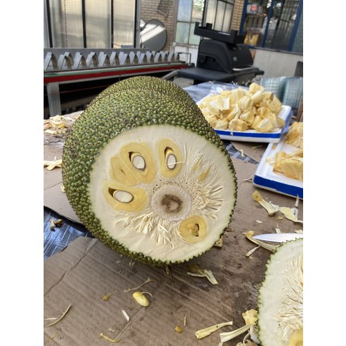 jackfruit peeled