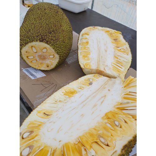 jackfruit peeled