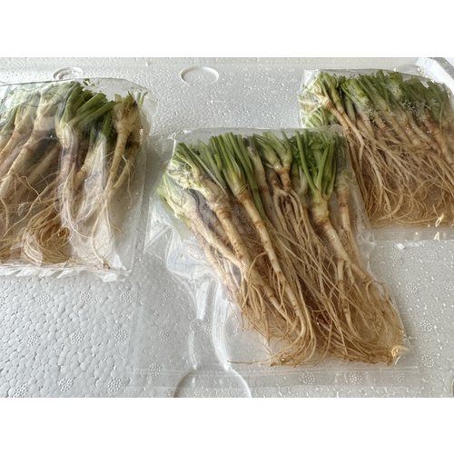 Coriander Roots Thai ( 2x500 gram.) - 1kg.