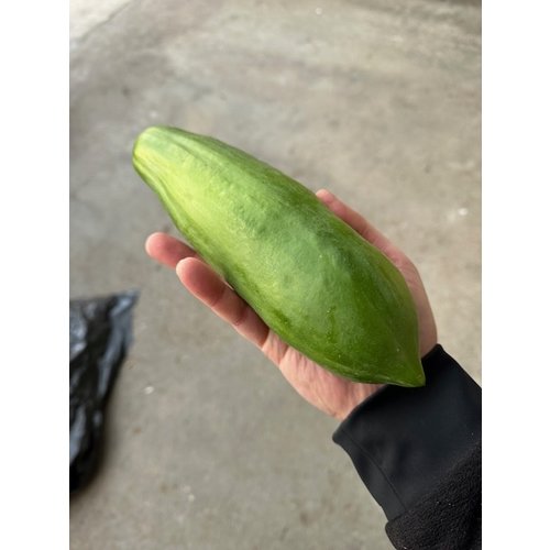 Papaya  5kg box