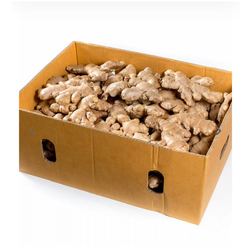 Gember/ginger - box 12.5kg