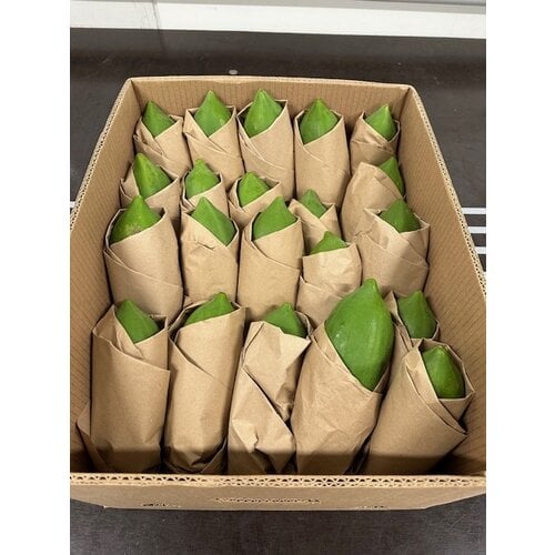 Papaya green - box 12kg.