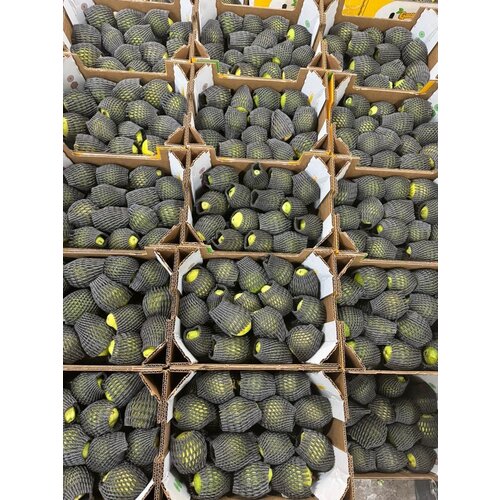 Guava