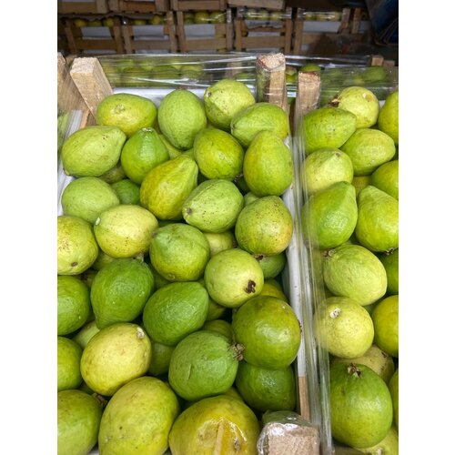 Guava