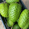 - - -  Zuurzak / Guanabana - - -