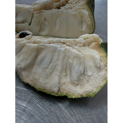 zuurzak - soursop - Guanabana zuurzak - soursop - Guanabana