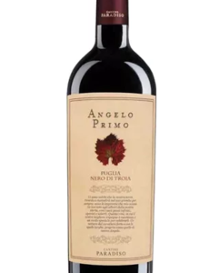  Paradiso Angelo Primo Puglia nero di troia 0,75L
