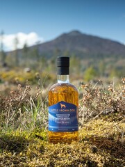 Little Brown Dog 12Y Aberdeenshire 46%