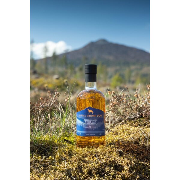Little Brown Dog 12Y Aberdeenshire 46%