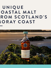 Glenglassaugh 15Y