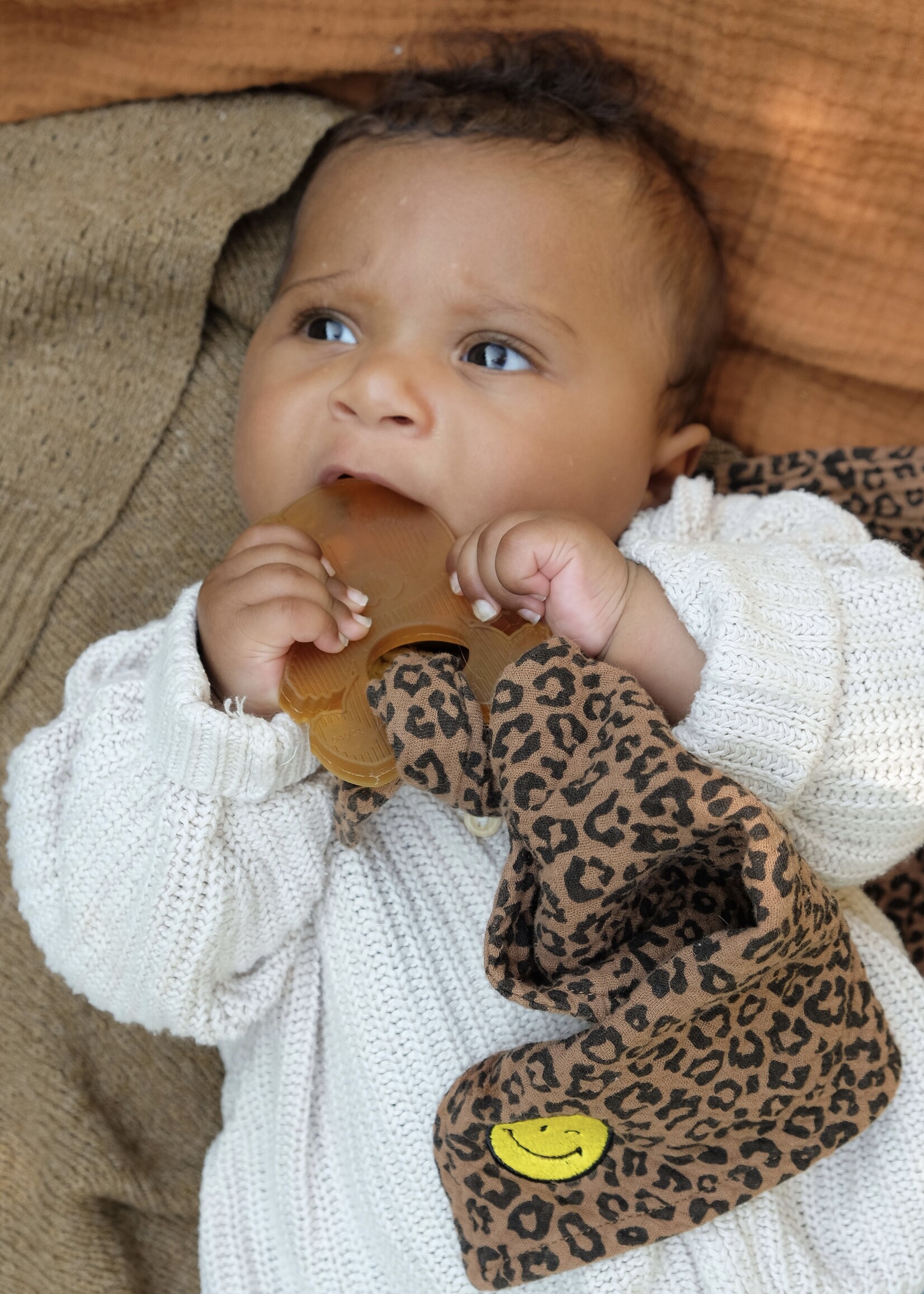 Atelier POMME LIMITED EDITION: PETIT LEOPARD