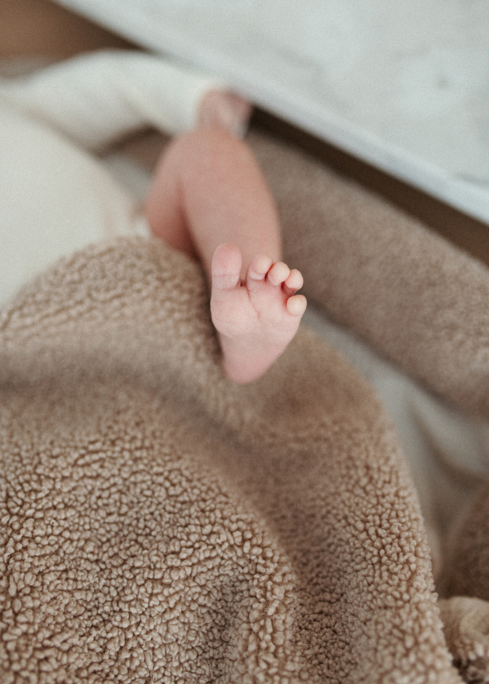 Atelier POMME COSY TEDDY HOODED BLANKET
