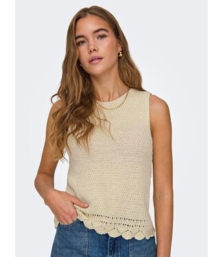 JDY JDYTIKKA Celia S/L O-Neck Tie Top -  Birch