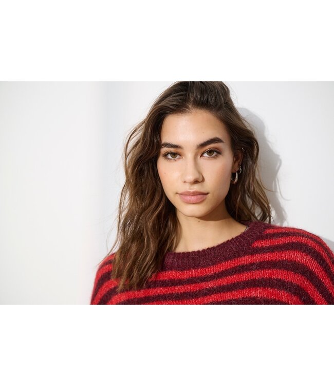 JDY JDYZOEY Life L/S On Dropsh Pull - Maroon Banner SALSA