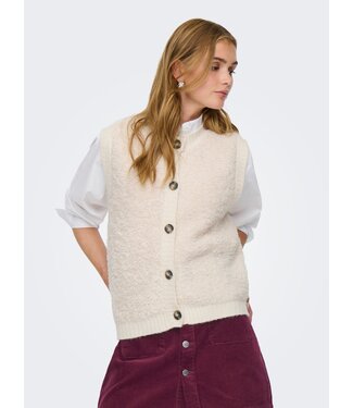 JDY JDYEIRA Life S/L On Button  Knit Vest - Birch