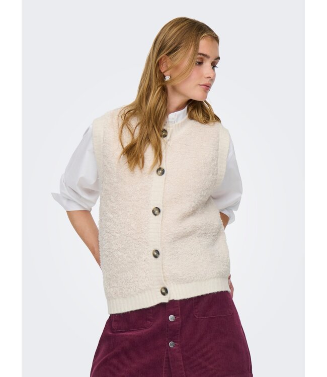 JDY JDYEIRA Life S/L On Button  Knit Vest - Birch