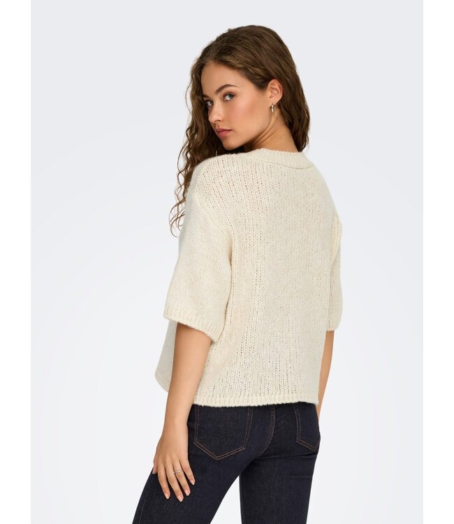 JDY JDYLINEA S/S Knit O-Neck Pullover - Birch
