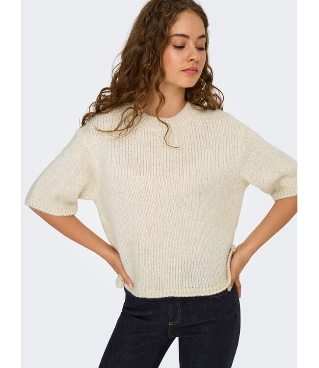 JDY JDYLINEA S/S Knit O-Neck Pullover - Birch