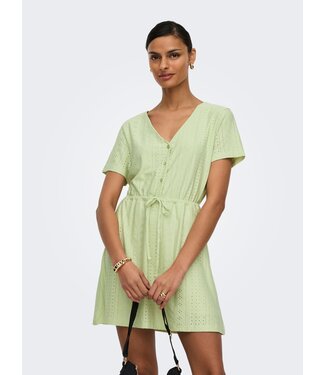 JDY JDYCATHINKA V-Neck Belt Dress - Seafoam Green Flora