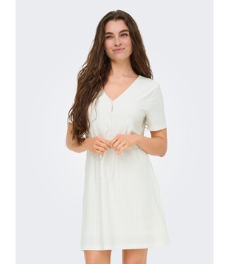 JDY JDYCATHINKA V-Neck Belt Dress - Cloud Dancer Flora