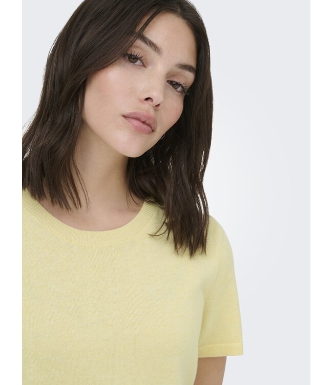 JDY JDYBODIL - fijn gebreide dames T-shirt in het lichtgeel gemêleerd