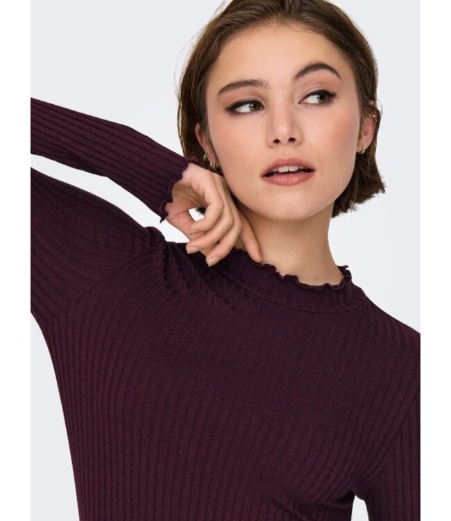 JDY JDY JDYFRANSISKA Life Hi-Neck Top Winetasting – Bordeaux ribtop met hoge hals