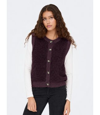 JDY JDYEIRA Life On Button Vest - Plum Perfect
